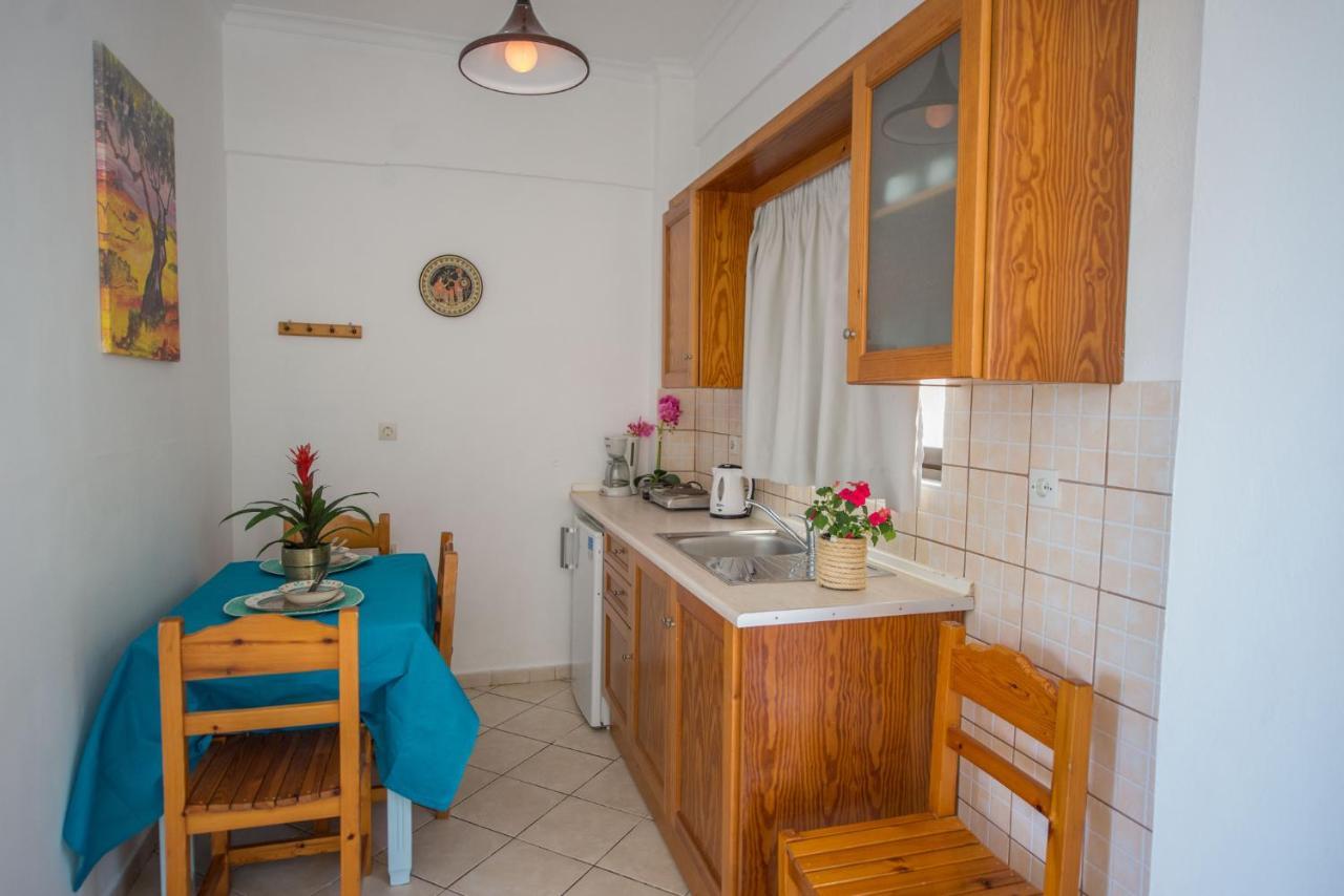 Spiros And Polyxeni Apartments Afión エクステリア 写真