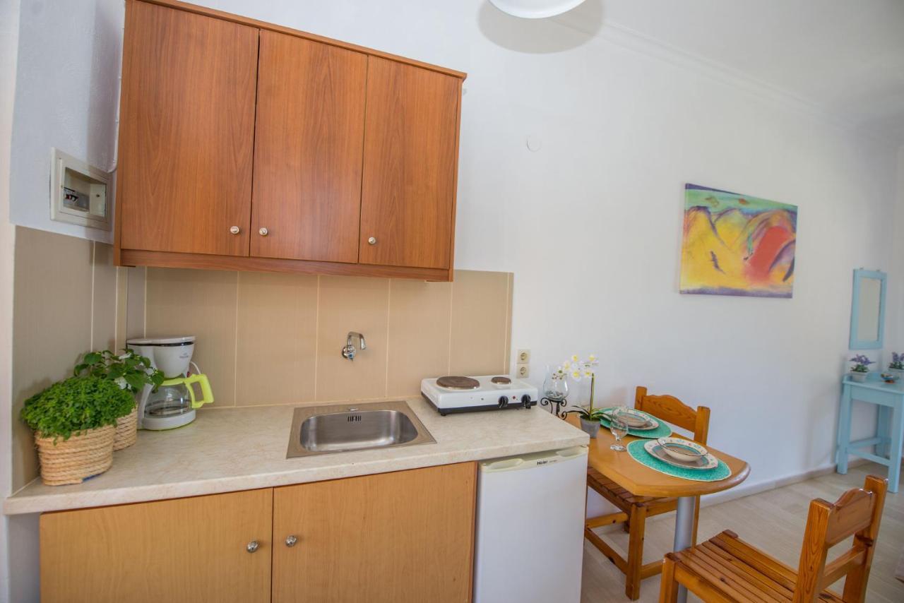 Spiros And Polyxeni Apartments Afión エクステリア 写真