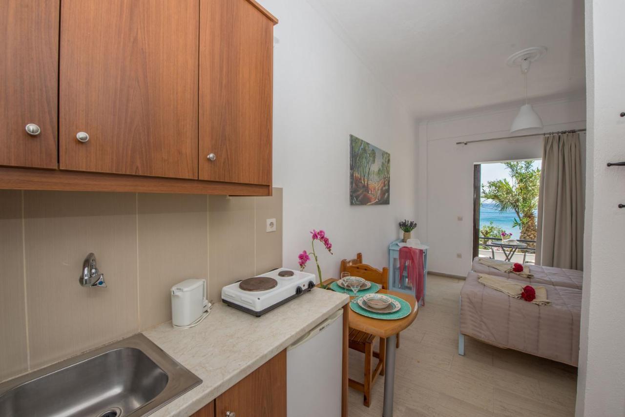 Spiros And Polyxeni Apartments Afión エクステリア 写真